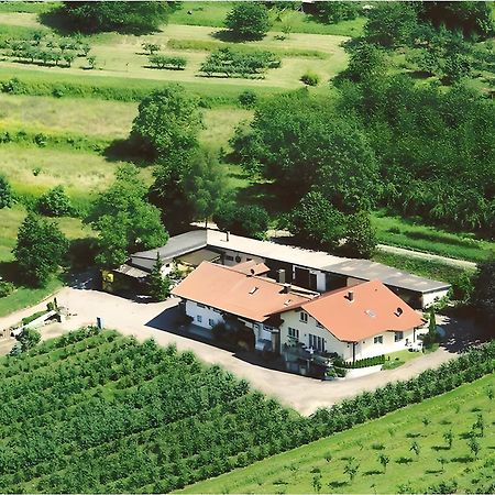 Weingut Ringwald Lägenhet Herbolzheim Exteriör bild